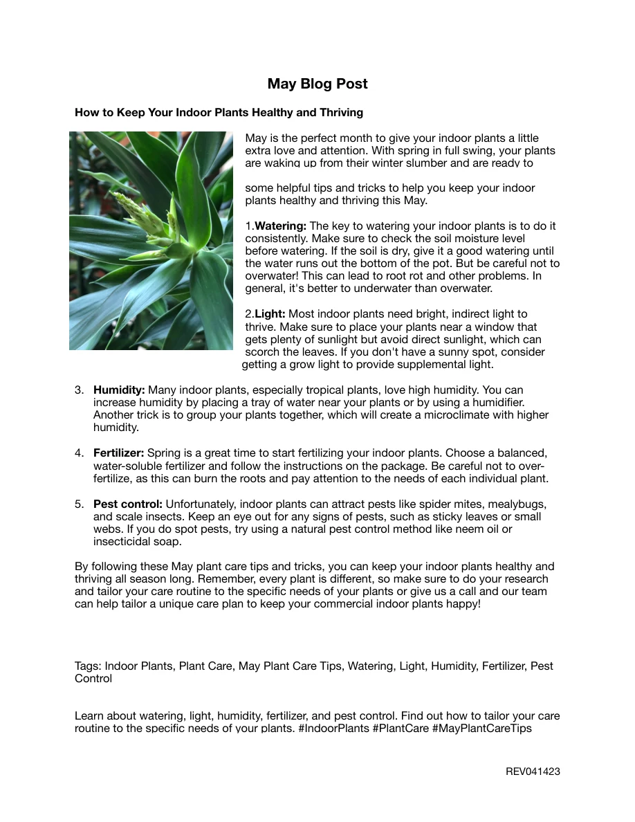 Plant care blog copywriting sample