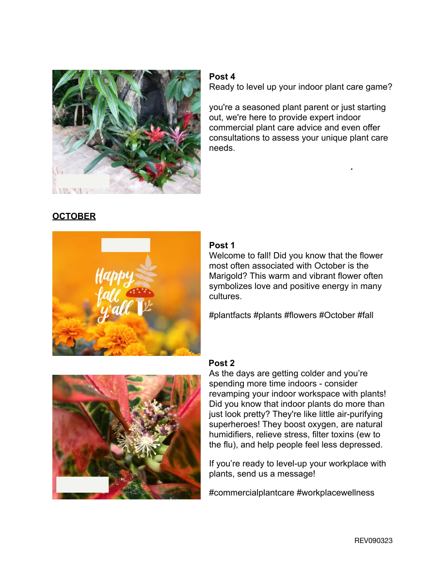 More seasonal social posts and caption samples